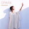 2010 Spark