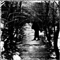 Depressio Aeterna - Suicidio In Una Foresta Dimenticata
