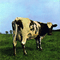 2007 Box Set: Oh By The Way (CD 06: Atom Heart Mother)