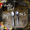 2007 Spoons