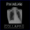 Paradoxie - Collapse