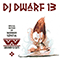2013 DJ Dwarf XIII