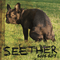 2013 Seether 2002-2013 (CD 2)