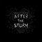2020 After the Storm (Single)
