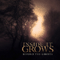 Inside It Grows - Beyond The Ghosts