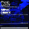 2007 Sonic CodeX