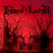 Bloody Lair - Total Mayhem