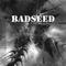 Badseed - Is This Reality