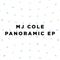 2013 Panoramic (EP)