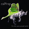 Caltrop - Ten Million Years And Eight Minutes