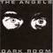 1980 Dark Room