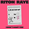 Riton ~ I Don't Want You (feat. Raye) (Single)