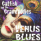 Catfish & The Crawdaddies - Venus Blues