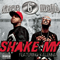 2009 Shake My (Single)