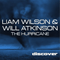 2013 Liam Wilson & Will Atkinson - The hurricane (Single)