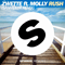 Zwette - Rush (Sam Feldt Remix)