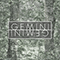 2012 Gemini (Single)