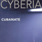 1995 Cyberia (EU Version)