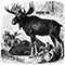2012 Stupid Elk (EP)
