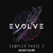 2015 Evolve - Sampler Phase 2