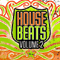 2009 House Beats Vol. 2