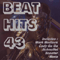 2009 Beat Hits Vol. 43 (CD 2)
