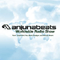 2008 Anjunabeats Worldwide 095 - with James Grant [Anjunadeep Edition] (2008-11-02)