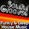 2011 Soulful Grooves - Funky & Deep House Music