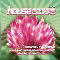2006 House 2006-2 (CD 1)