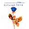 1998 Strange Love Vol.2