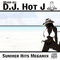 2008 Summer Hits Megamix (Mixed By DJ Hot J)