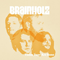 Brainholz - These Days Are Gone