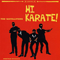 Satelliters - Hi Karate!