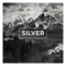 2013 Silver (Single)