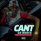 2015 Cant Go Broke (Single)