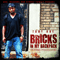 2010 Bricks In My Backpack (The Harry Powder Story)