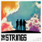 Strings - Low Light