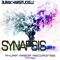 2014 Synapsis Web (Single)
