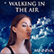 2016 Walking In The Air (Single)