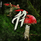 2020 Beware the Forest's Mushrooms