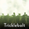 2018 Tricklebolt