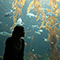2010 Aquarium Drunkard Sess (Single)