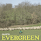 2018 Evergreen