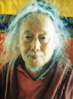 Venerable 'Chi.Med Rig.'Dzin Lama, Rinpoche