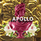 2021 Apollo
