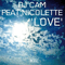 2009 DJ Cam Feat Nicolette - Love