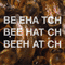 2008 Beehatch