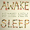 2005 Awake Is The New Sleep