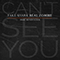 2014 Can't See You (Single)