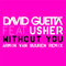 2011 Without You (Armin van Buuren Remix)